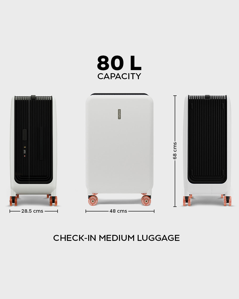 Wingman Check-in Medium